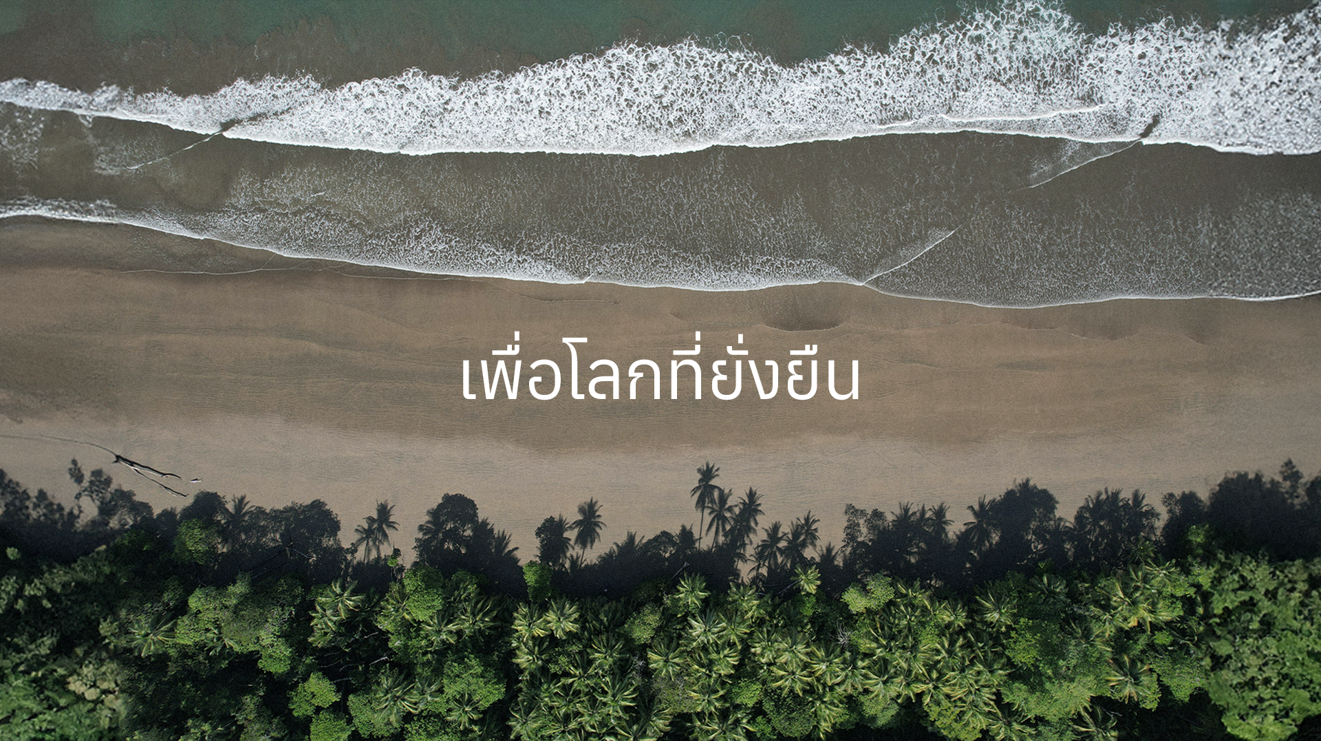 เพื่อโลกที่ยั่งยืน